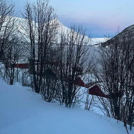 Cozy In Kaldfjord *